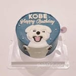 Avatar of Usman Rafiq